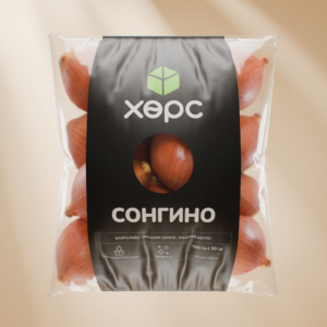 Савласан Сонгино